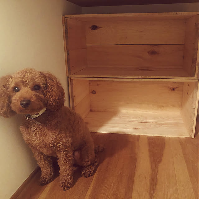 USED木箱 (中古りんご箱 20kgサイズ)ランクA【2箱セット