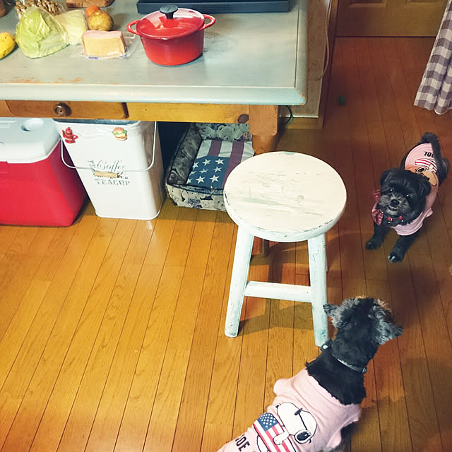 asaさんの実例写真