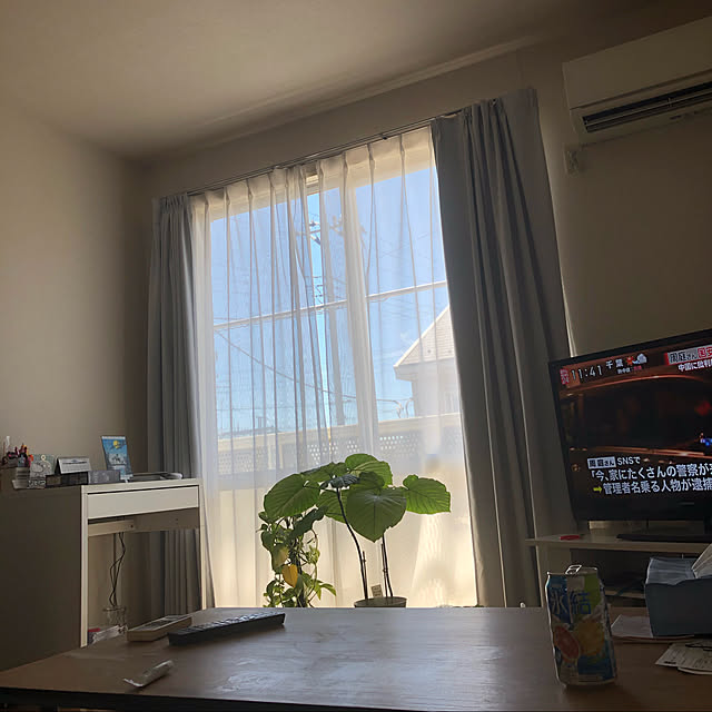 Mikaさんの実例写真