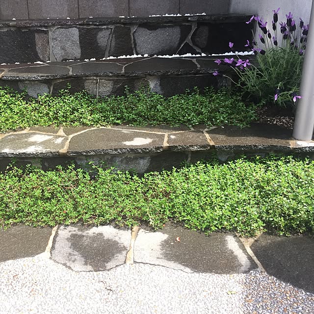 sasatomoさんの実例写真