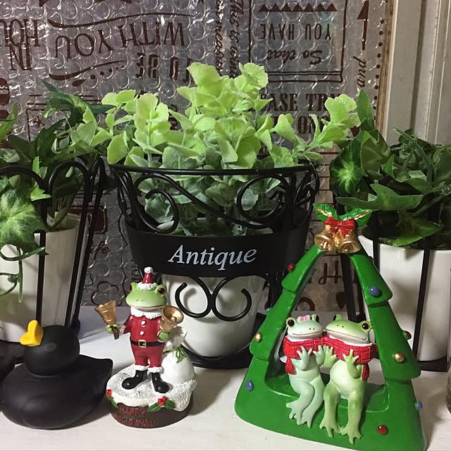 vivienne.coco-keiさんの実例写真