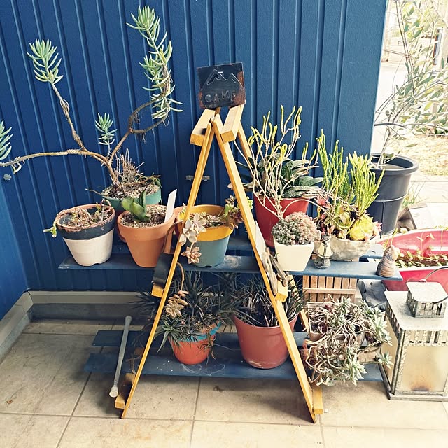 urchinさんの実例写真