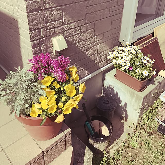 michi0413さんの実例写真