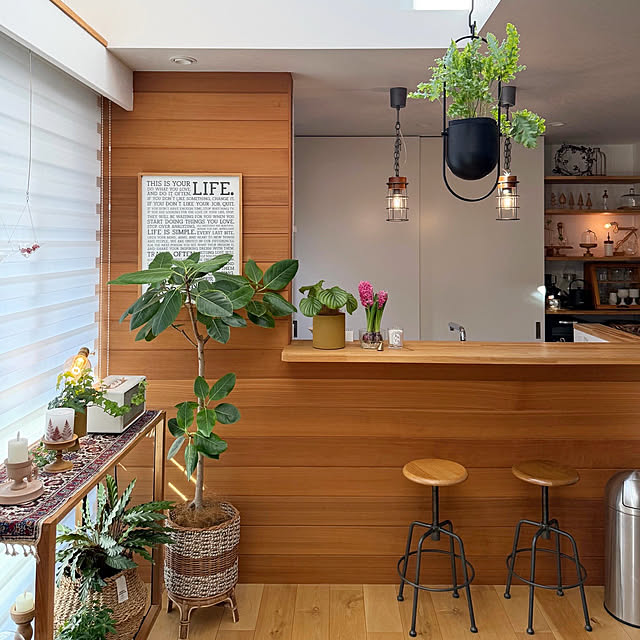 Cheeseさんの部屋