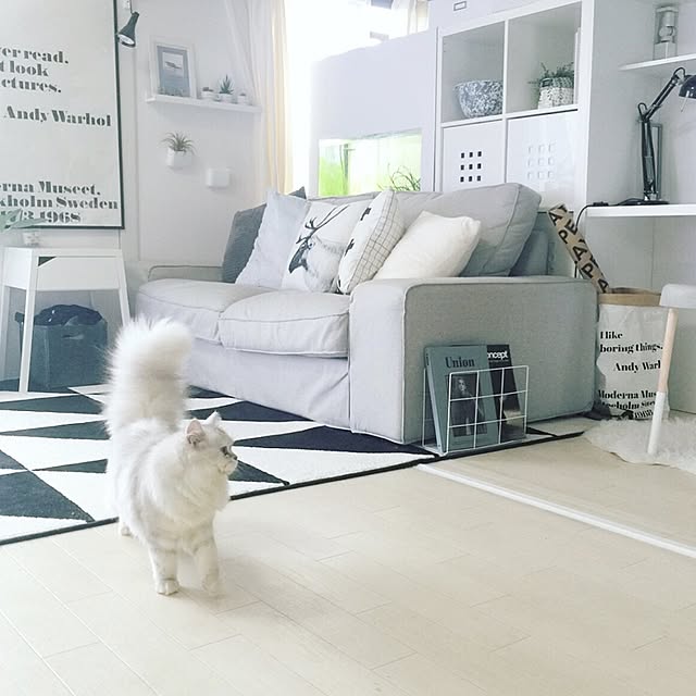 cocoさんの実例写真
