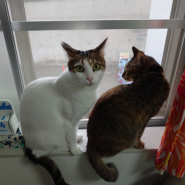 hanasukeさんの実例写真
