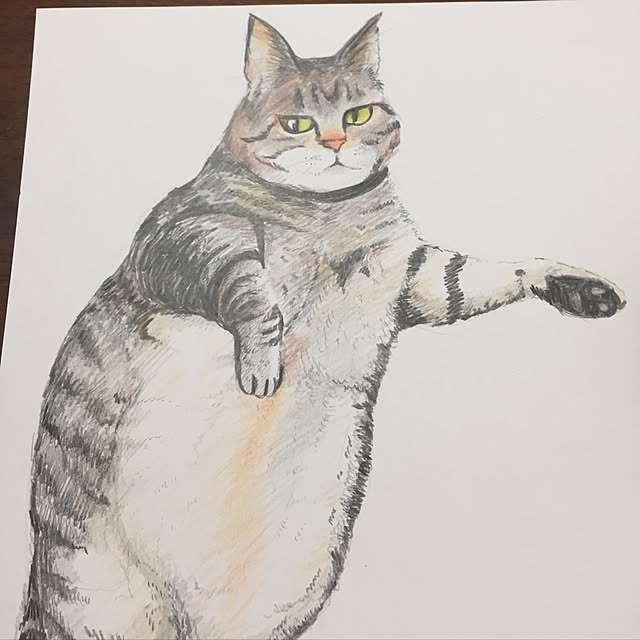 meguchiyoさんの実例写真