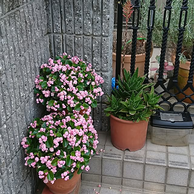yuukyさんの実例写真