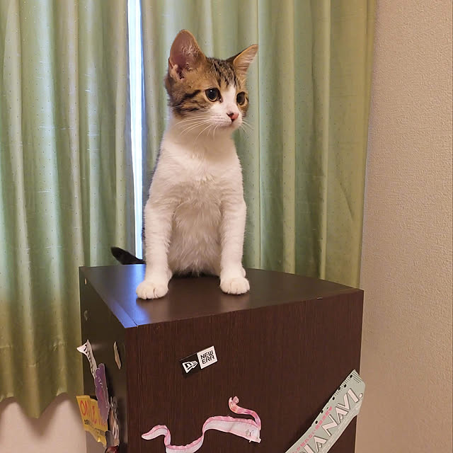 Reicaさんの実例写真