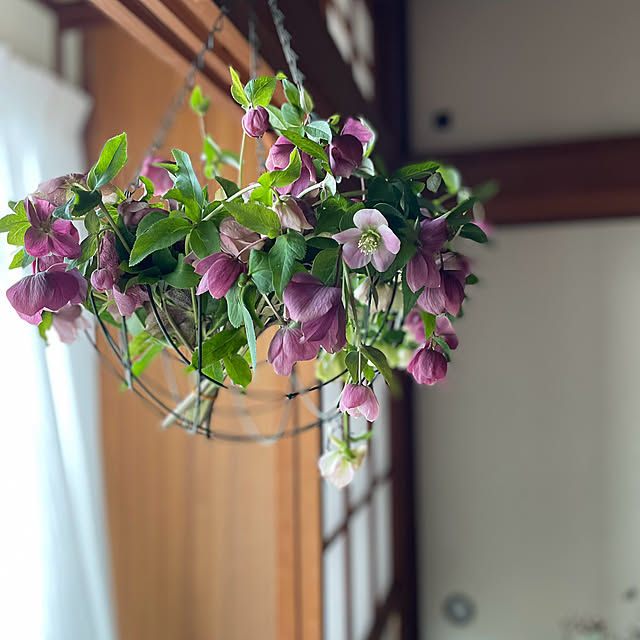 buchiさんの実例写真