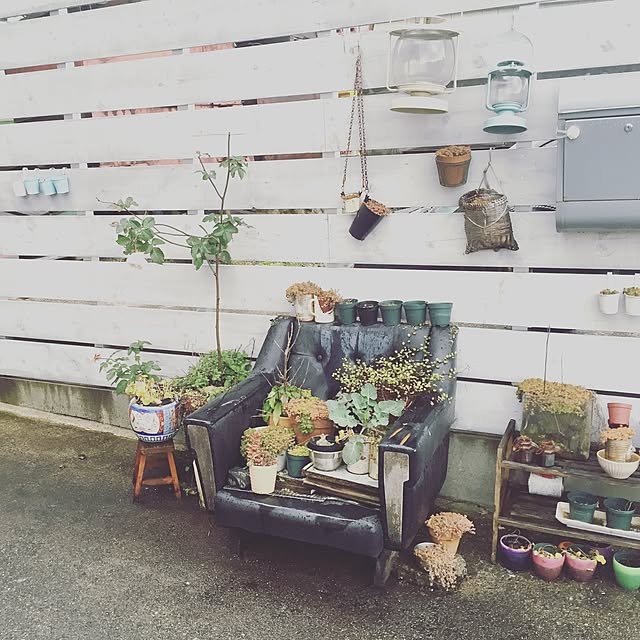 tamaさんの実例写真