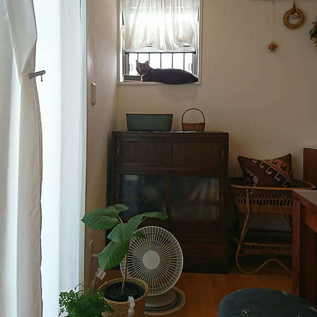 petitoccoさんの実例写真