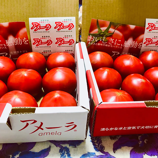 hanachanさんの部屋
