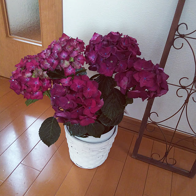 a.roseさんの実例写真