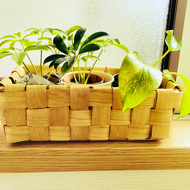 okonachanさんの実例写真