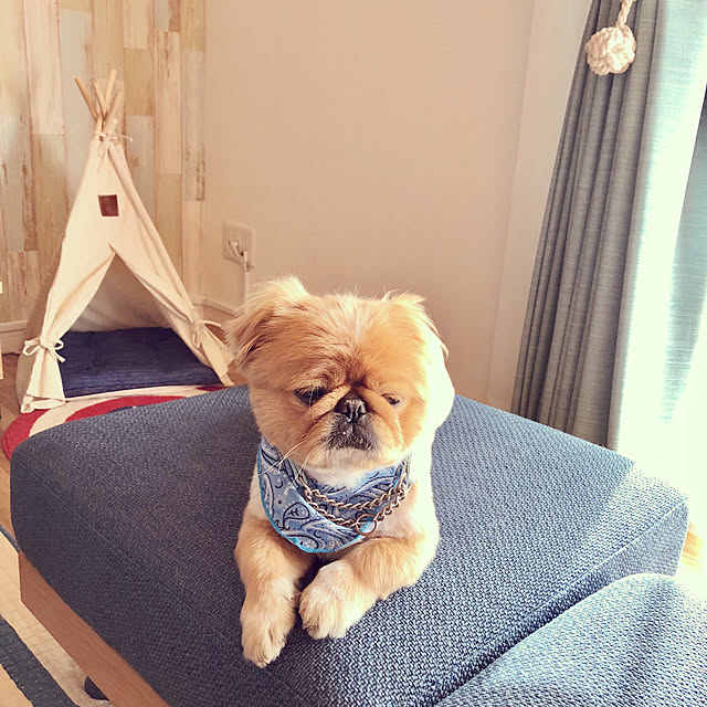 NUIさんの実例写真