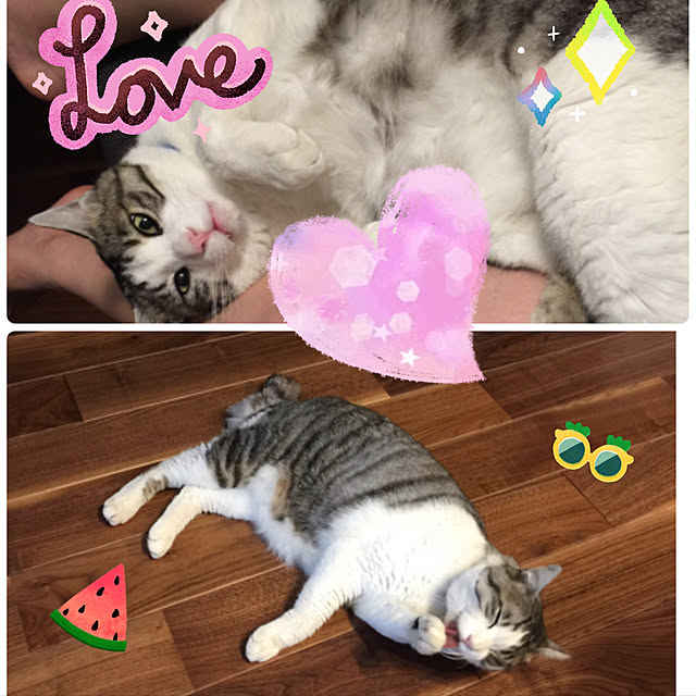 cherryさんの実例写真