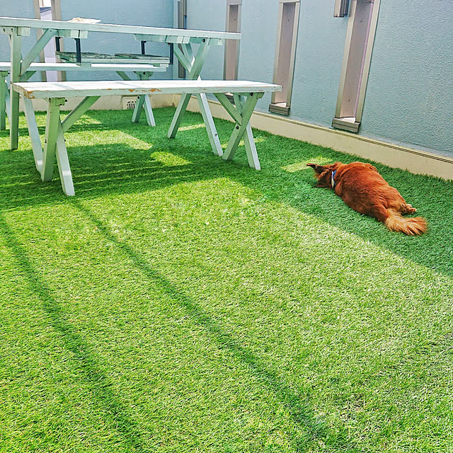 cocosorasakuさんの実例写真