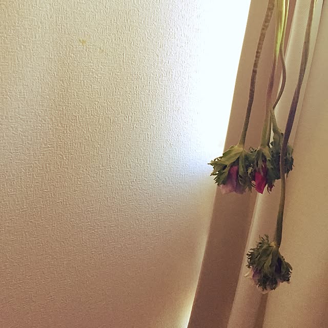 ysさんの実例写真