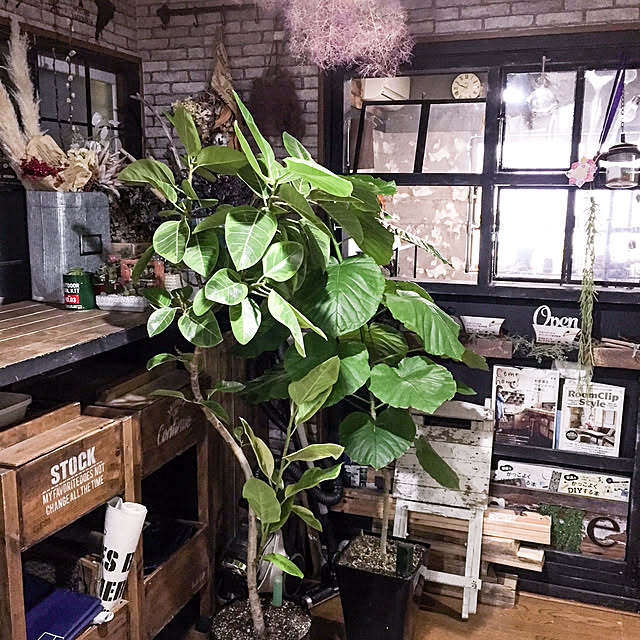 natulove0418さんの実例写真