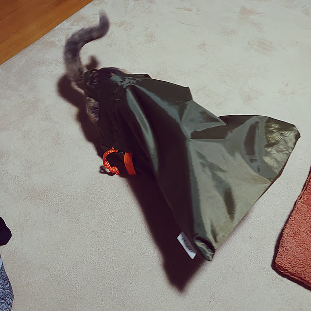 fukuさんの実例写真