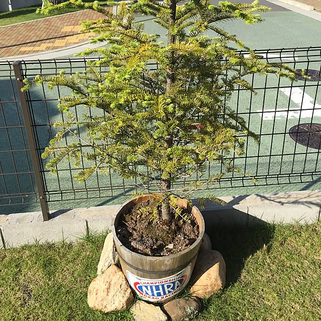 hirosatomioさんの実例写真