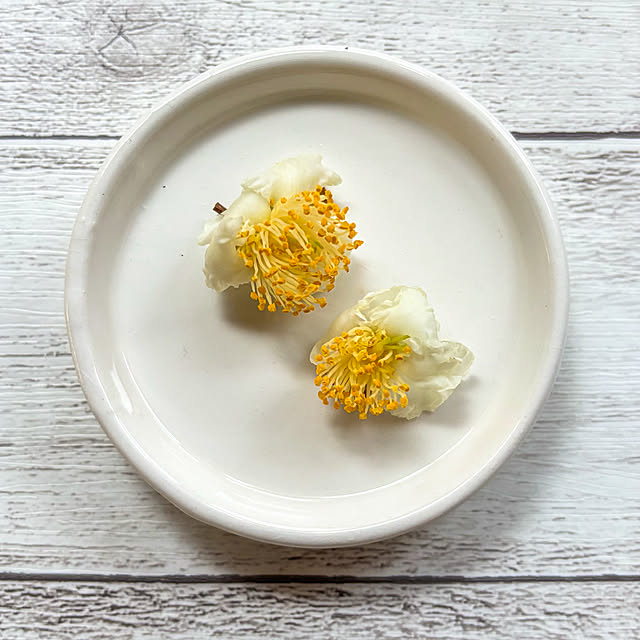 fawnさんの実例写真