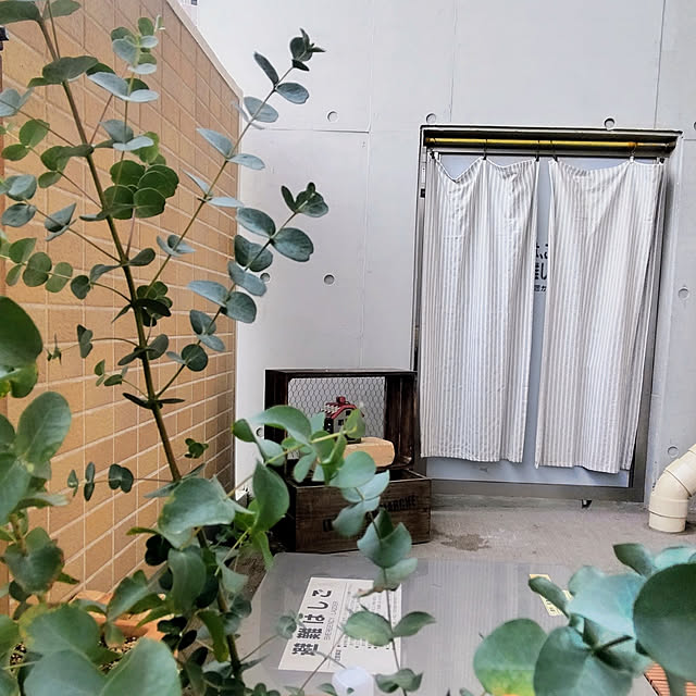 mamiさんの実例写真