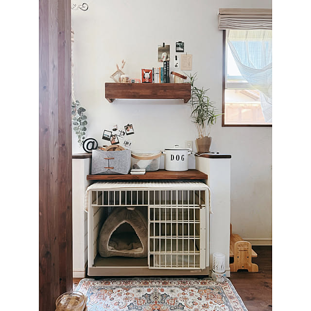 Reiyaさんの実例写真