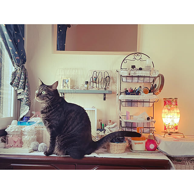 momocchiさんの実例写真