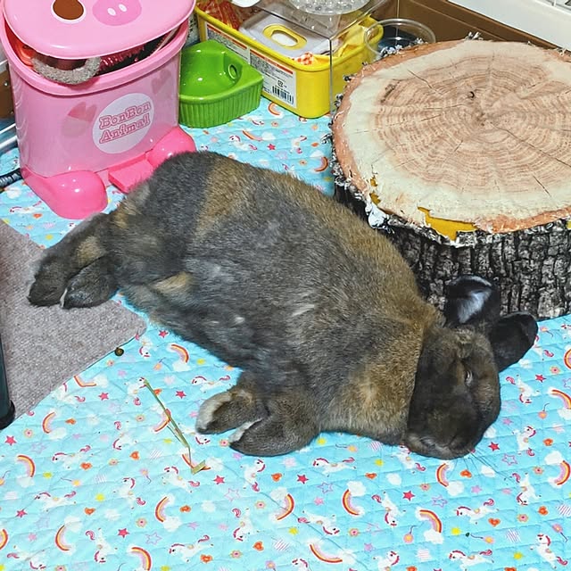 mariaさんの実例写真