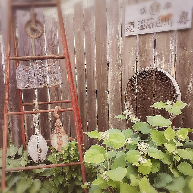 hononoさんの実例写真