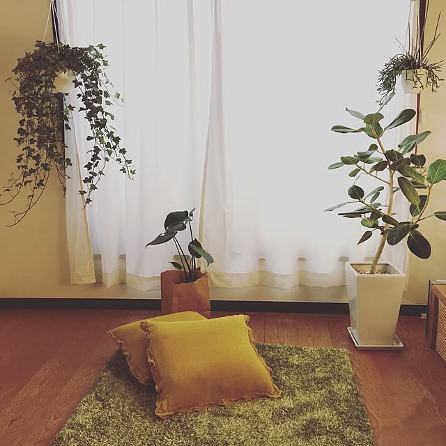 scarletさんの実例写真