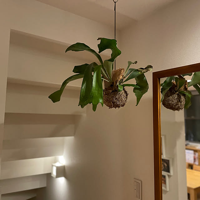 halさんの実例写真