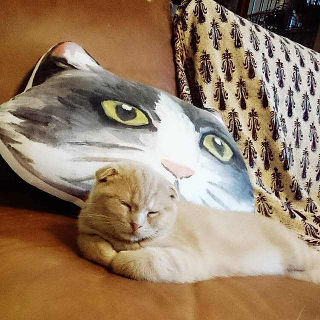 MarshmallowMuffinさんの実例写真