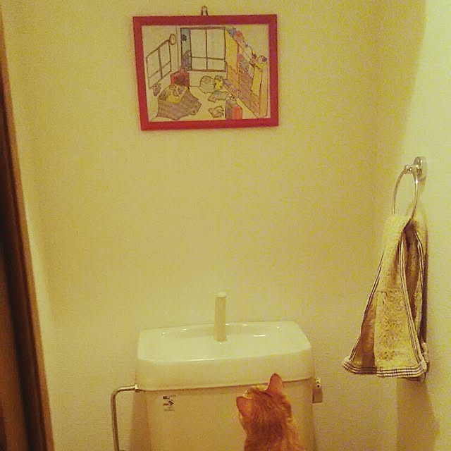 Shinobuさんの実例写真