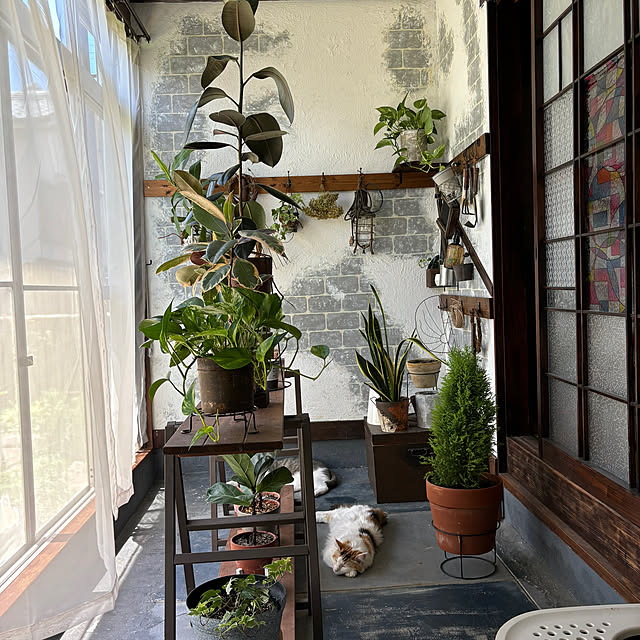 Mikazukiさんの部屋