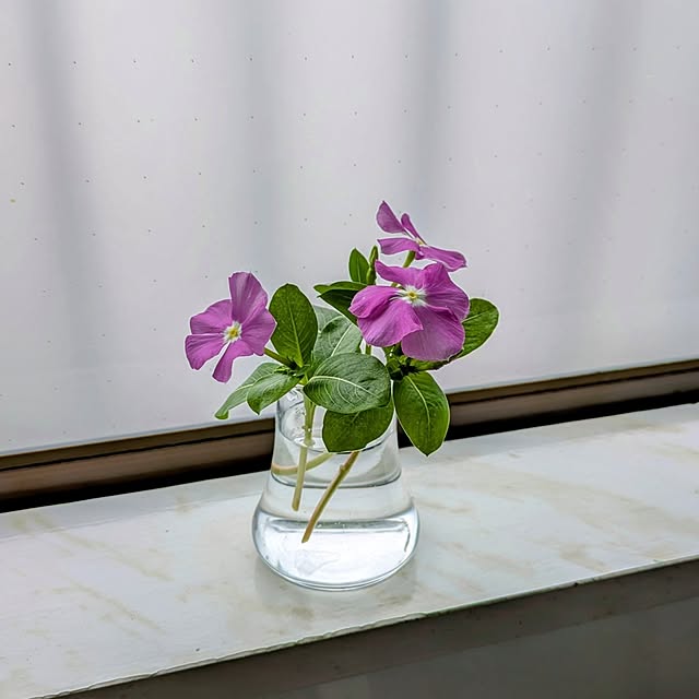 Renさんの部屋
