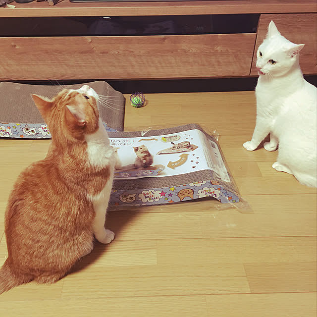 Non.Maru.Meiさんの実例写真
