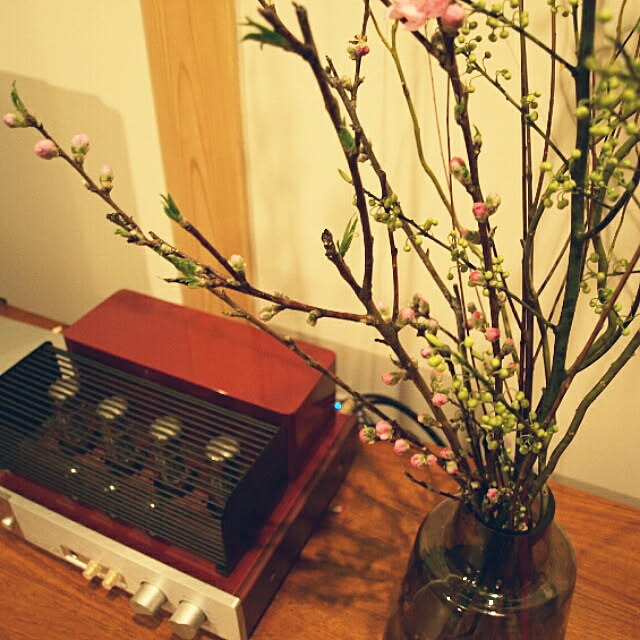 kuracirica_mycoさんの実例写真