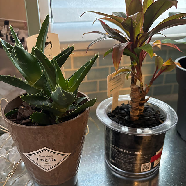 haruharu3さんの部屋