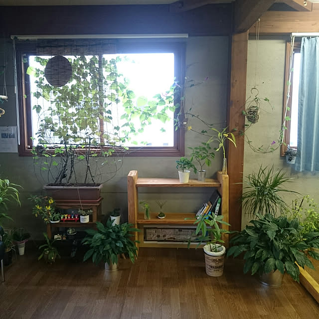 mie.tmrさんの実例写真