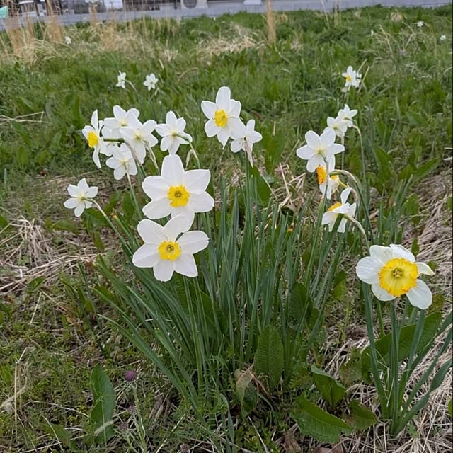 minnieさんの部屋