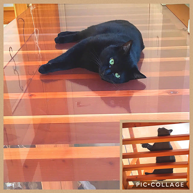 pitaさんの実例写真