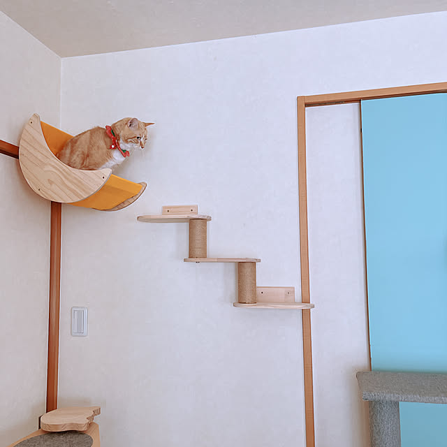 moolさんの実例写真