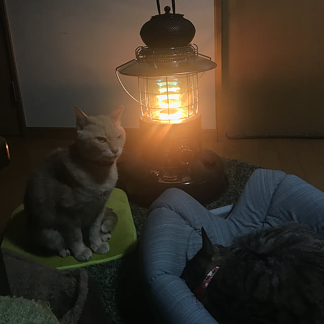 mikan161さんの実例写真