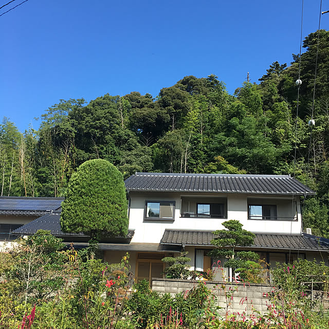 実例写真