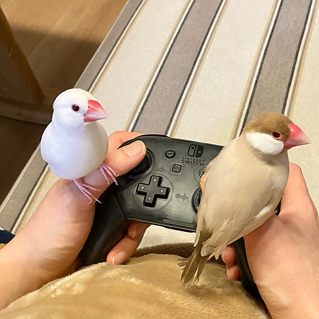 hananokaoriさんの実例写真