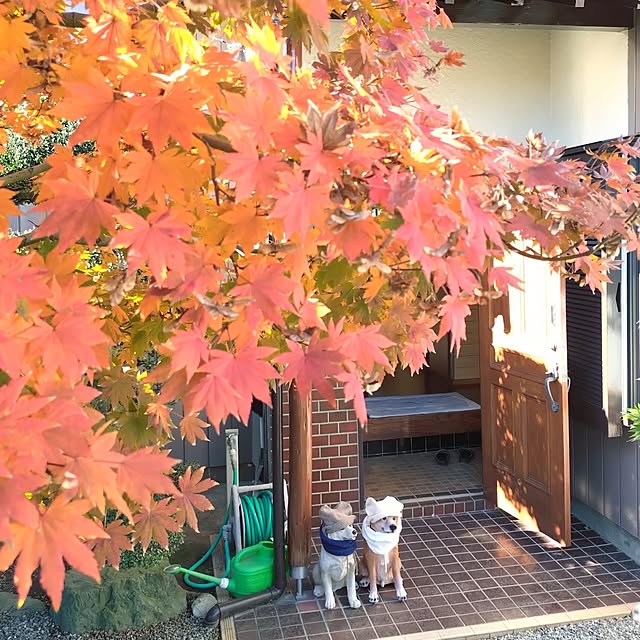 NOAHさんの実例写真