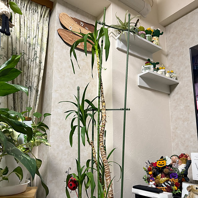 Aqettyさんの部屋